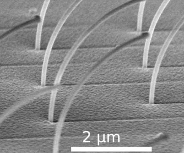 SEM image of a bent nanowire heterostructure